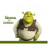 Faixa infantil shrek-1