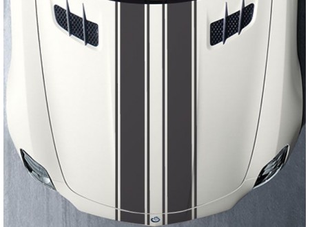 ADESIVO TUNING PARA PERSONALIZAÇÃO DE CARROS FAIXAS 1